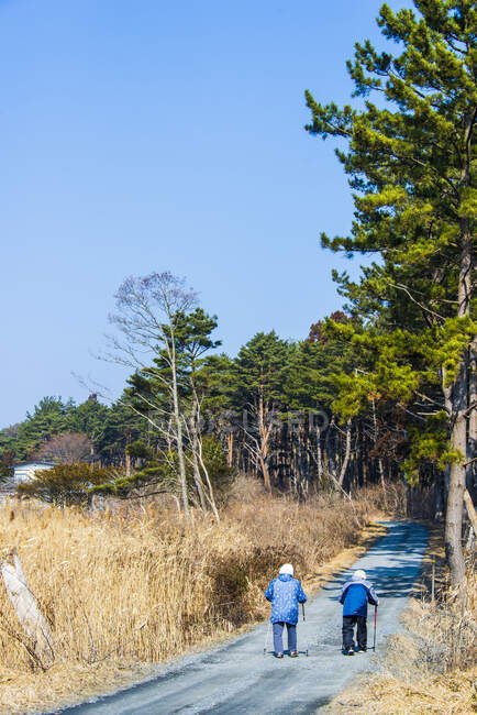Viejitas paseando por Taneichi. A lo largo del sendero costero Michinoku, Tohoku, Honshu, Japón. - foto de stock