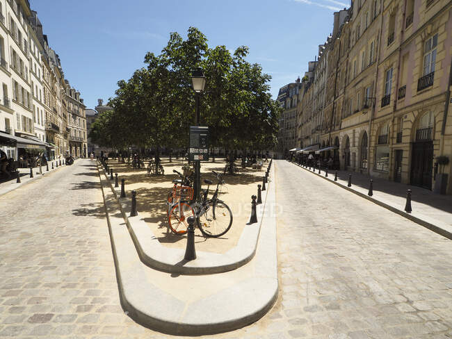 Plaza Dauphine que proporciona refugio de sombra debajo de árboles o restaurantes terace, París, Francia - foto de stock