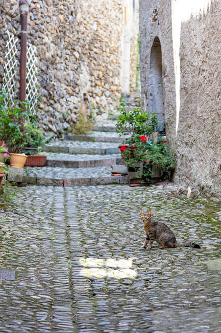 Lane of the village Saint Lizier in the department of Ariege, Pyrenees, Occitanie, France — Stock Photo