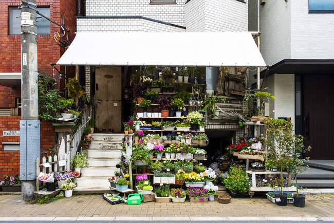 Fleuriste rue Honshu — Photo de stock