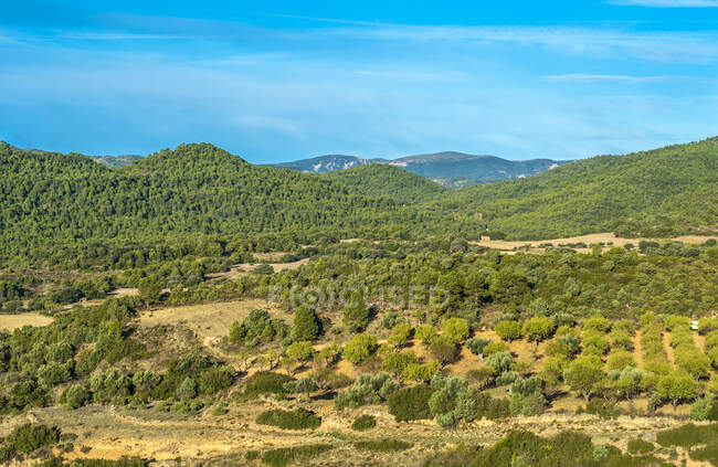 España, Aragón, campo cerca de Aguero - foto de stock