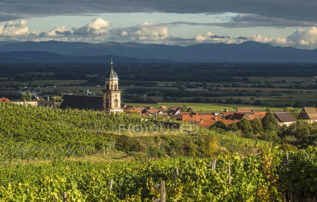 Francia, Alsazia, Strada del Vino, vigneto e villaggio di Saint Hippolyte — Foto stock