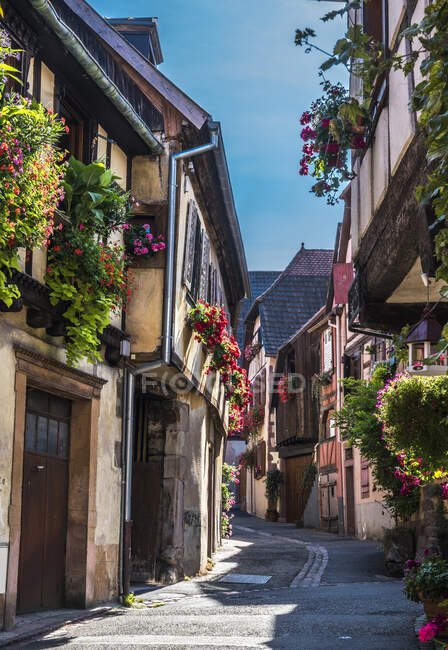 Francia, Alsazia, strada del vino, Ribeauville, strada con case a graticcio e fiori — Foto stock