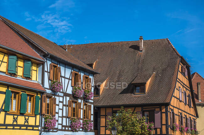 France, Alsace, Route des vins, Ribeauville, maisons à colombages — Photo de stock