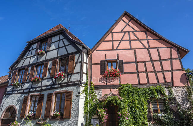 França, Alsácia, Rota do Vinho, Ribeauville, casas de meia-madeira — Fotografia de Stock