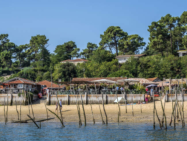 Francia, bahía de Arcachon, Cap Ferret, cabañas de degustación de ostras en el pueblo ostrero de l 'Herbe - foto de stock