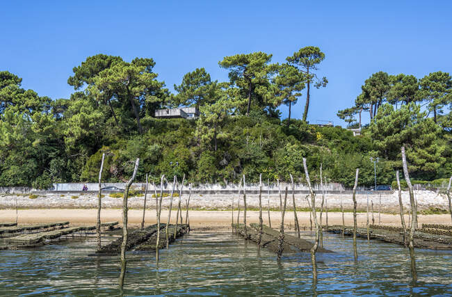 Francia, bahía de Arcachon, Cap Ferret, Villas a l 'Herbe - foto de stock