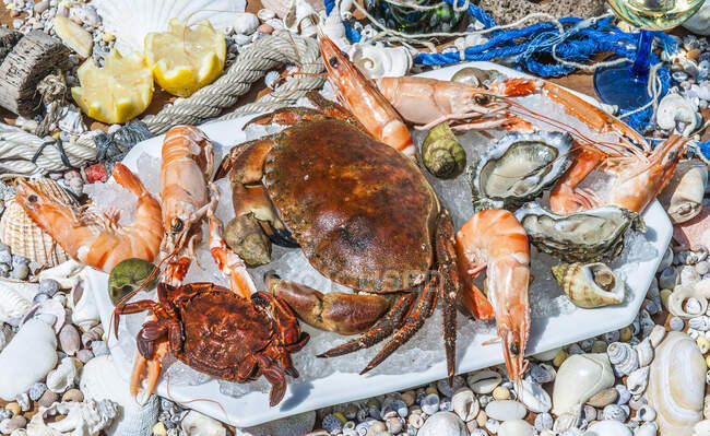 Francia, baia di Arcachon, piatto di frutti di mare — Foto stock