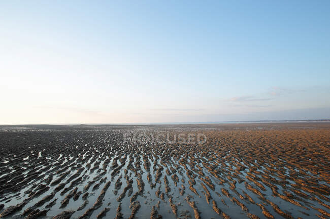 Francia, Bahía de Bourgneuf en marea baja, depósitos de barro traídos por las corrientes marinas, puesta de sol. - foto de stock