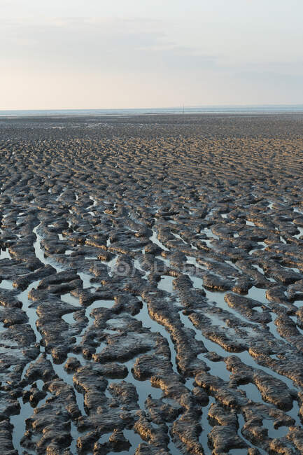 França, Baía de Bourgneuf na maré baixa, depósitos de lama trazidos por correntes marítimas. — Fotografia de Stock
