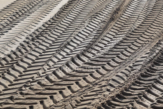 France, Bourgneuf Bay, La Bernerie-en-Retz, 44, traces of tractor tires. — Stock Photo