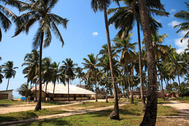 Танзания, Занзибар (остров Унгуджа), Пвани Мчангани. — стоковое фото