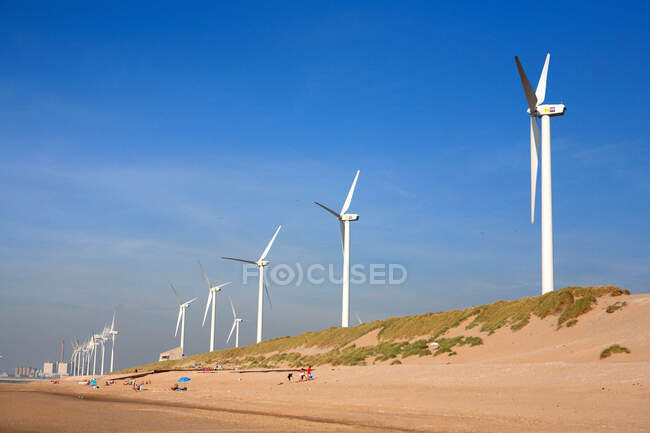 Нидерланды, Южная Голландия, Роттердам, пляж Maasvlah, ветряная машина — стоковое фото
