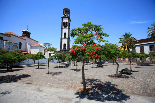 Espanha, Ilhas Canárias, Tenerife, Santa Cruz, Iglesia la Conception — Fotografia de Stock