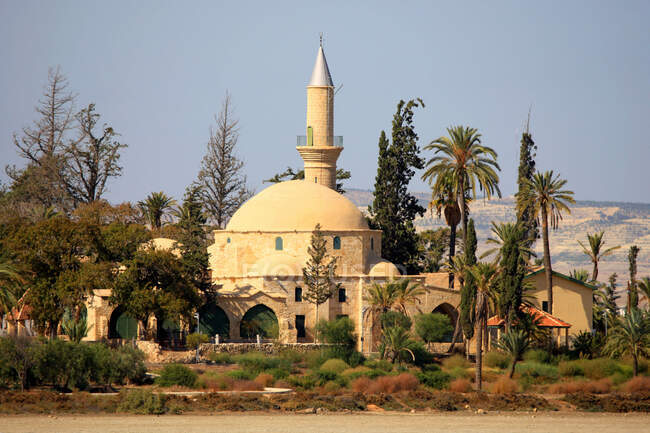 Кіпр, Ларнака, Хала Султан Текке — стокове фото