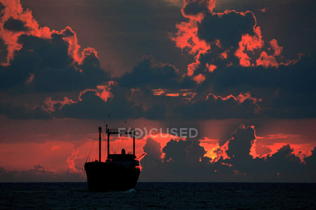 Кипр, рядом с Пафосом, кораблекрушение — стоковое фото