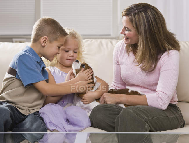 Familia jugando con cachorro - foto de stock