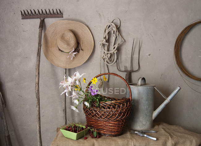 Attrezzi da giardino — Foto stock