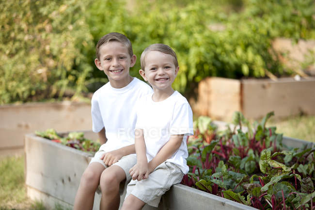 Jardinagem. Irmãos caucasianos colhendo legumes juntos — Fotografia de Stock