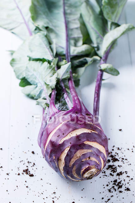 Kohlrabi lila — Stockfoto