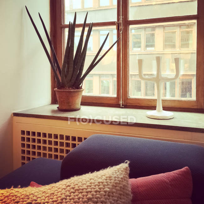 Fenster mit Sansevieria-Pflanze und Kerzenständer dekoriert — Stockfoto