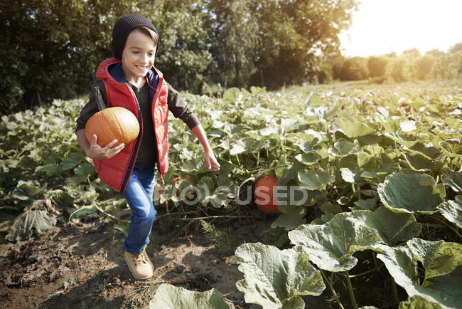 Rapaz no campo de abóboras — Fotografia de Stock