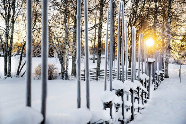 Сельский забор в деревне зимним утром — стоковое фото