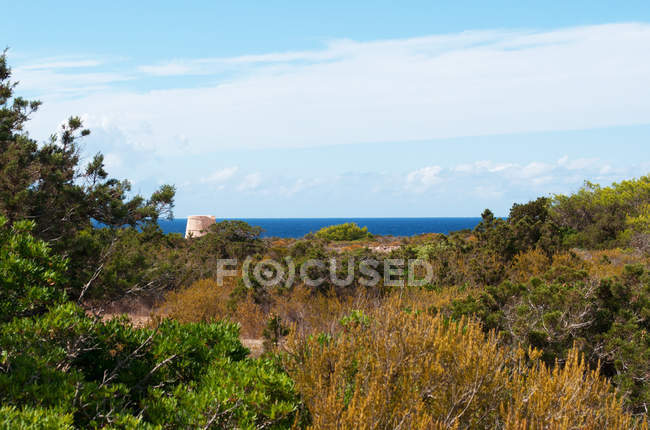 Formentera, Îles Baléares, Espagne : vue sur la mer Méditerranée et le maquis avec la tour Gavina, une tour de guet construite en 1763 pour contrôler la côte ouest de l'île — Photo de stock