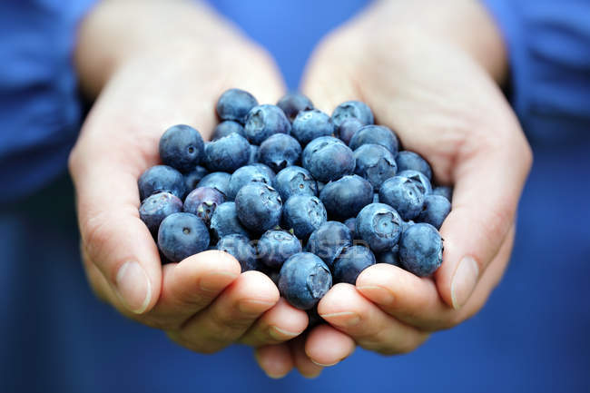 Handful of blueberries — Stock Photo