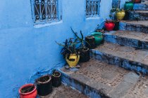Potted plants and flower pots on stairs in old historical medieval city Chefchaouen in Morocco — Stock Photo