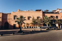 Rue vide avec maisons traditionnelles, pots blancs, plantes vertes et beaux palmiers au Maroc, Afrique — Photo de stock