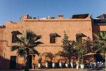 Pots blancs avec des plantes vertes et de beaux palmiers et maisons traditionnelles au Maroc, Afrique — Photo de stock