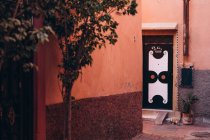 Marrakesh, Morocco, Africa - 08 December, 2018: narrow street with orange walls, plants and stray cat near stairs in Marrakesh, Morocco, Africa — Stock Photo