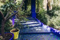 Beaux escaliers bleus et plantes dans des pots de fleurs dans le jardin au Maroc, Afrique — Photo de stock