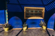 Красива будівля синій і рослин у горщики для квітів у дворі в Марокко, Африка — стокове фото