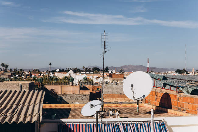 Erstaunliches Stadtbild von Marrakesch mit traditionellen Häusern, streunenden Katzen auf Dächern und Bergen bei sonnigem Wetter, Marokko, Afrika — Stockfoto