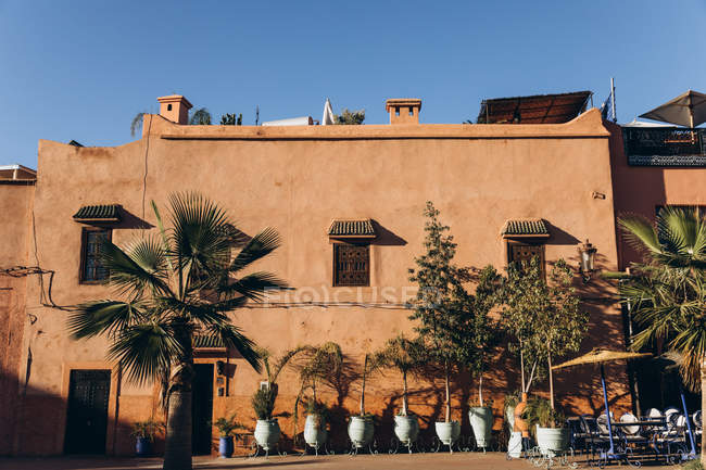 Vasos brancos com plantas verdes e belas palmeiras e casas tradicionais em Marrocos, África — Fotografia de Stock
