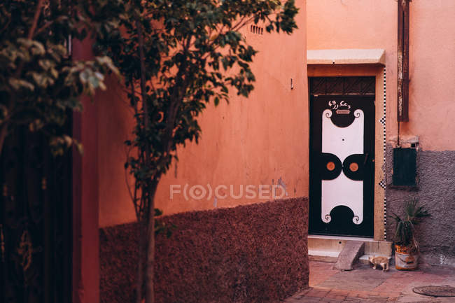 Марракеш, Моррехо, Африка - 08 декабря 2018 года: узкая улочка с оранжевыми стенами, растениями и соломенной кошкой у лестницы в Марракеше, Моррехо, Африка — стоковое фото
