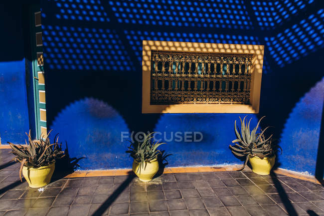 Beau bâtiment bleu et plantes dans des pots de fleurs dans la cour au Maroc, Afrique — Photo de stock