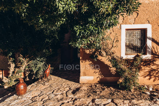 Beautiful yard with tree near old brown building in Morocco, Africa — Stock Photo