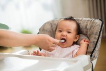 Cropped shot of mother holding spoon and feeding cute asian baby at home — Stock Photo
