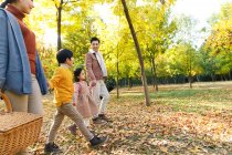 Vista laterale di felice giovane famiglia asiatica che si tiene per mano e cammina nel parco autunnale, colpo ritagliato — Foto stock