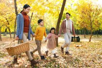 Feliz joven asiático familia con dos niños cogidos de la mano y caminando en picnic en otoño parque - foto de stock