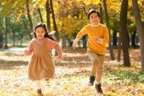 Очаровательные счастливые азиатские дети, улыбающиеся в камеру и бегающие вместе в осеннем лесу — стоковое фото