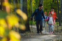 Selective focus of happy young family with backpacks and trekking sticks walking together in forest — Stock Photo