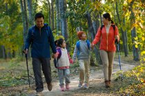 Молодая азиатская семья с рюкзаками и тропами, держась за руки и гуляя вместе в лесу — стоковое фото