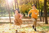 Adorable happy asian children running together in autumn forest — Stock Photo