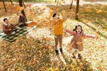 Vista de ángulo alto de niños felices jugando con hojas de otoño mientras los padres descansan en cuadros a cuadros en el parque - foto de stock