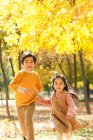 Adorável feliz asiático irmão e irmã correndo juntos no outono floresta — Fotografia de Stock