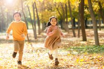 Чарівний щасливий азіатський брат і сестра бігають разом в осінньому лісі — стокове фото